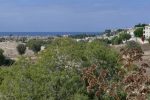 Blick von Paphos Richtung Meer - Auswandern und Leben auf Zypern