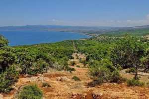Akamas - Aphrodite Trail - Touren auf Zypern