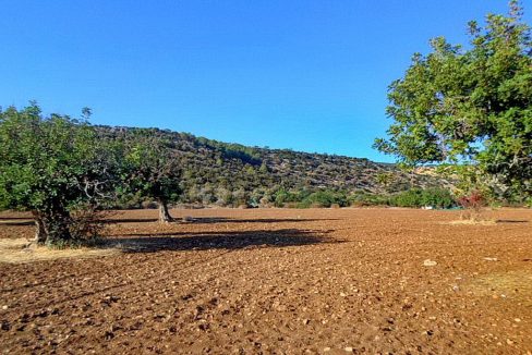 Bauland auf Zypern: Beachfront-Grundstück in exklusiver Lage im Raum Paphos zum Kauf - PFPL108