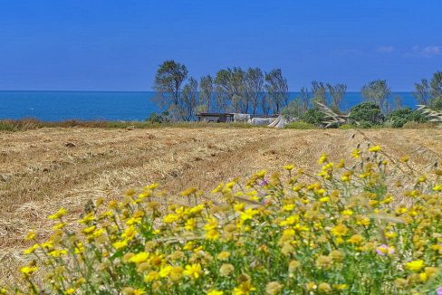 Bauland auf Zypern: Beachfront-Grundstück in exklusiver Lage im Raum Paphos zum Kauf - PFPL109