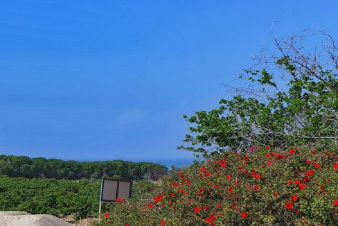 Bauland auf Zypern: Beachfront-Grundstück in exklusiver Lage im Raum Paphos zum Kauf - PFPL112