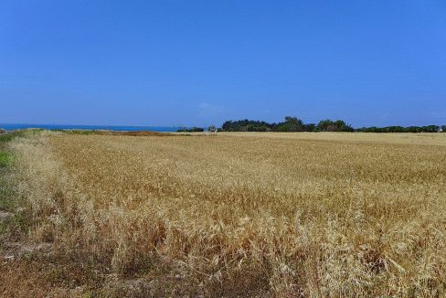 Bauland auf Zypern: Beachfront-Grundstück in exklusiver Lage im Raum Paphos zum Kauf - PFPL114
