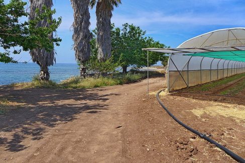 Bauland auf Zypern: Beachfront-Grundstück in exklusiver Lage im Raum Paphos zum Kauf - PFPL1155