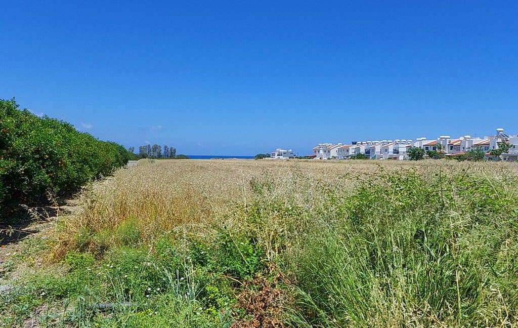 Bauland auf Zypern: Beachfront-Grundstück in exklusiver Lage im Raum Paphos zum Kauf - PFPL117