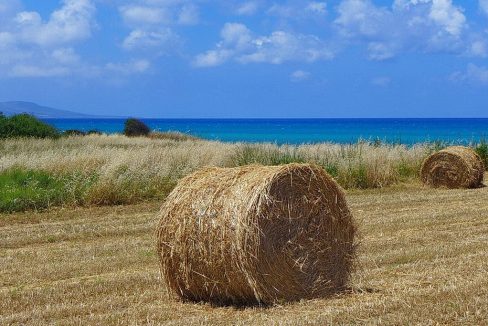 Bauland auf Zypern: Beachfront-Grundstück in exklusiver Lage im Raum Paphos zum Kauf - PFPL117